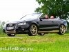 pivoabt0